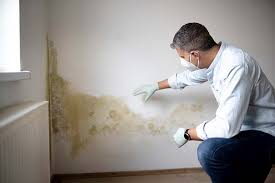 Mold Remediation for Rental Properties in Kirby, TX